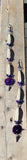 Purple abalone and Dentalium