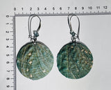 Green abalone shell drop earrings with crystal bead hooks displayed on wicker basket